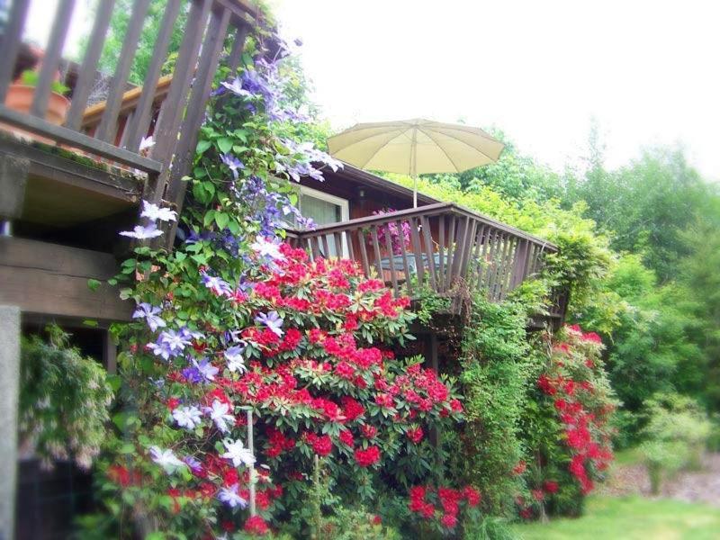 Misty Valley Inn Форкс Екстер'єр фото